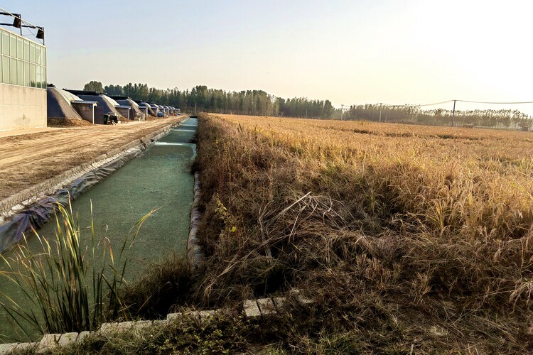 图片默认标题_fororder_004