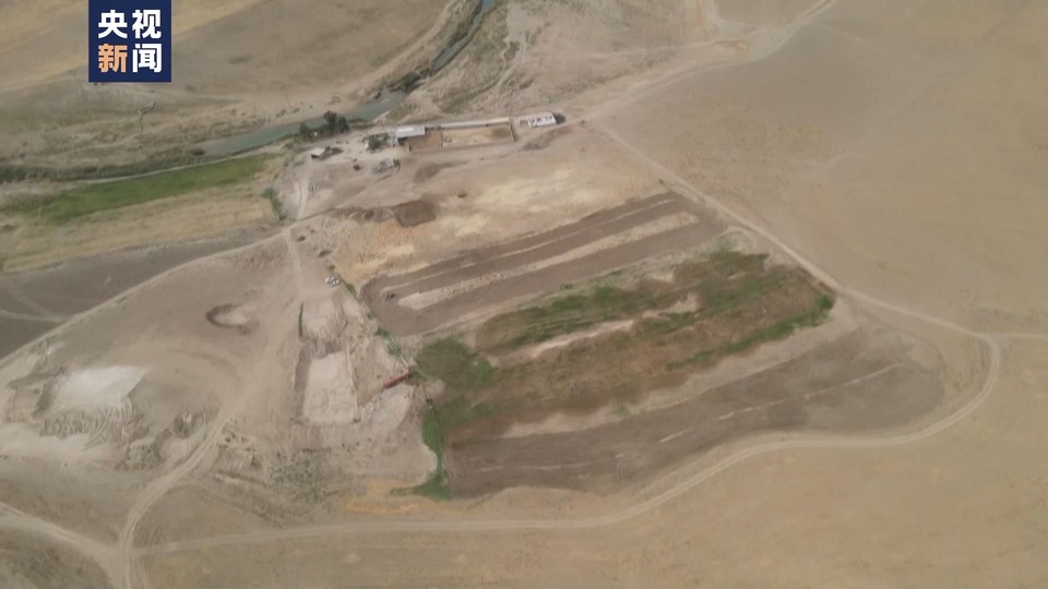 伊拉克持续干旱催生“气候移民” 农民愈发贫困