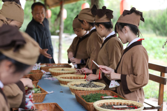 河北沧县：小学生识百草 体验中医药文化_fororder_河北沧县：小学生识百草 体验中医药文化640