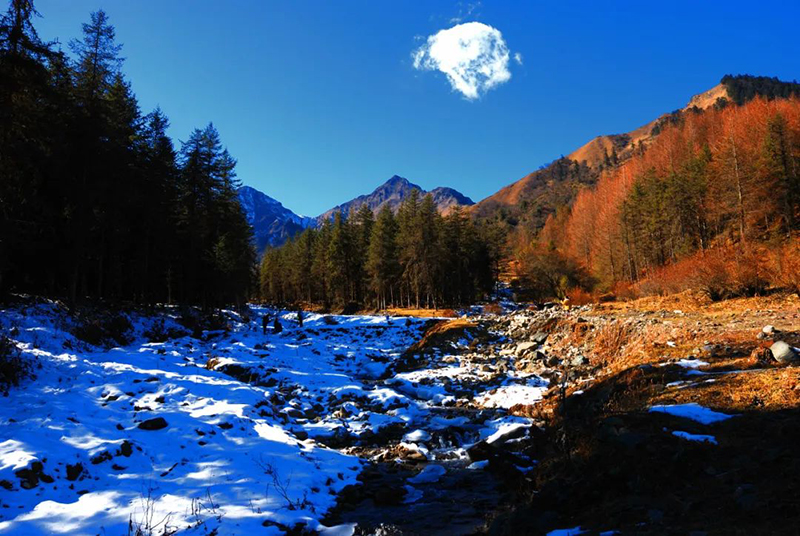 来四川看秋叶飘丹 山河尽染_fororder_神木垒景区美景-供图-宝兴县委宣传部
