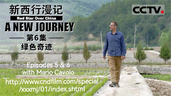 Homelike Shenyang ③ | American Writer Mario Cavolo: I Am an Authentic Son-in-Law of Shenyang_fororder_图片6