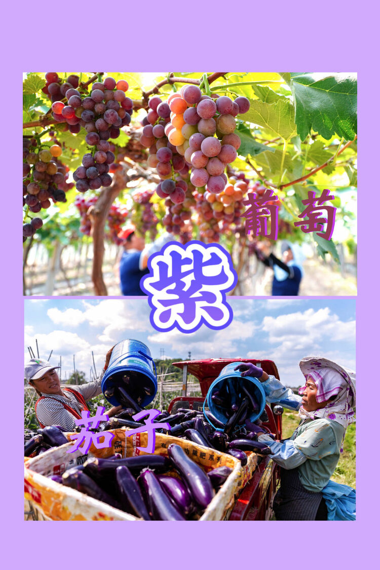 红橙黄绿青蓝紫，一起来看这希望的画卷！