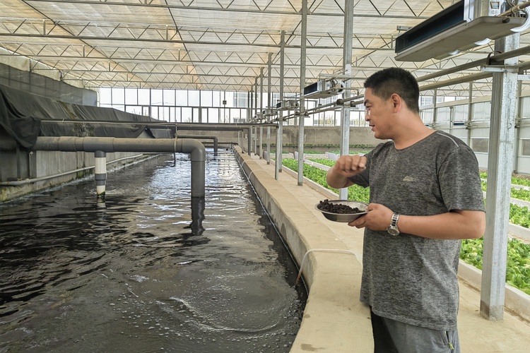 图片默认标题_fororder_001