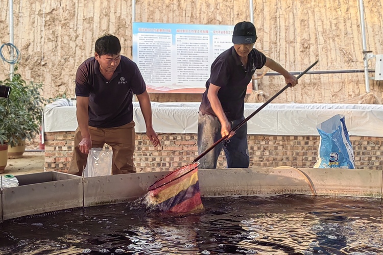 图片默认标题_fororder_005