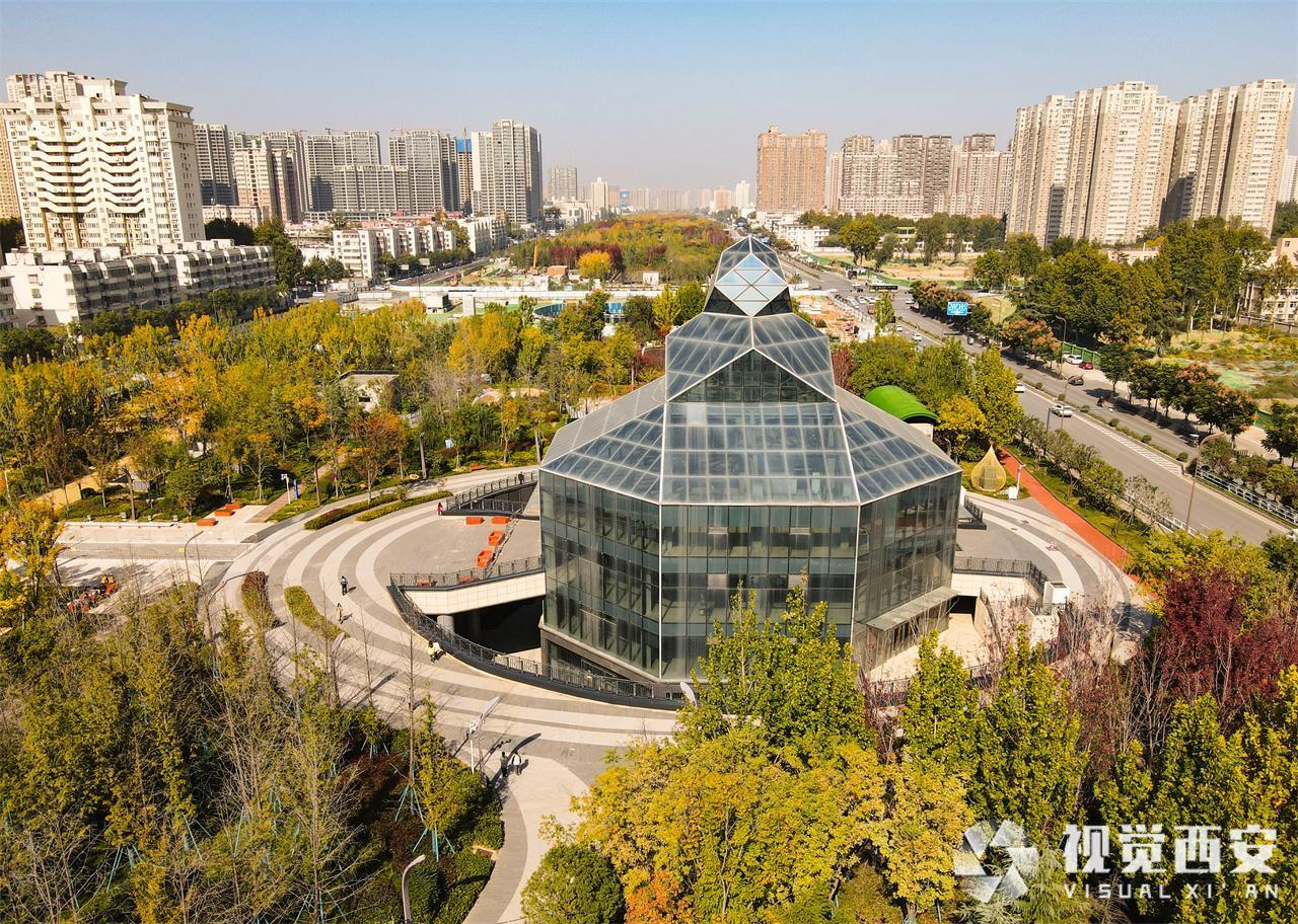 五彩斑斓 幸福林带