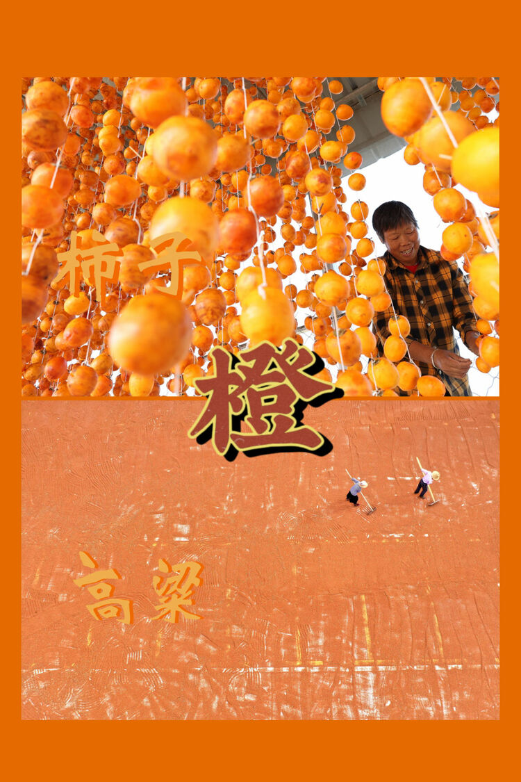 红橙黄绿青蓝紫，一起来看这希望的画卷！
