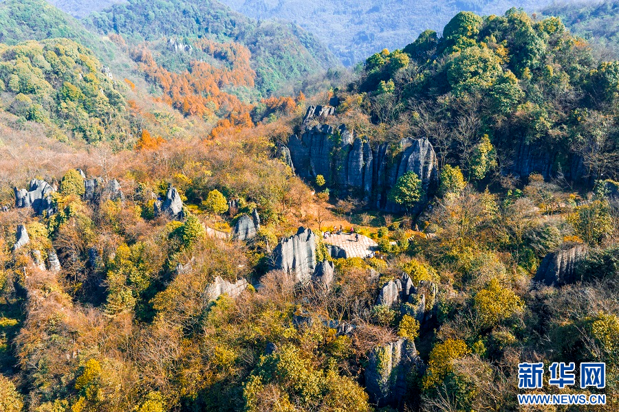 重庆南川：山王坪霜林尽染