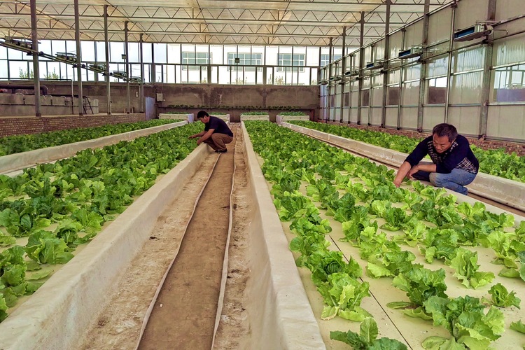 图片默认标题_fororder_002