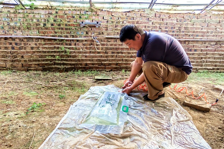 图片默认标题_fororder_008