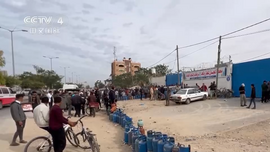 临时停火进展顺利 加沙民众领取救援物资