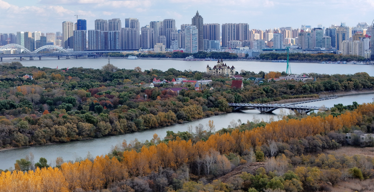 龍江秋韻丨萬頃松江濕地美成生態畫廊