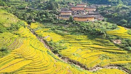 漳州龍海：謀劃引進“標準園區” 提高畝均産出效益