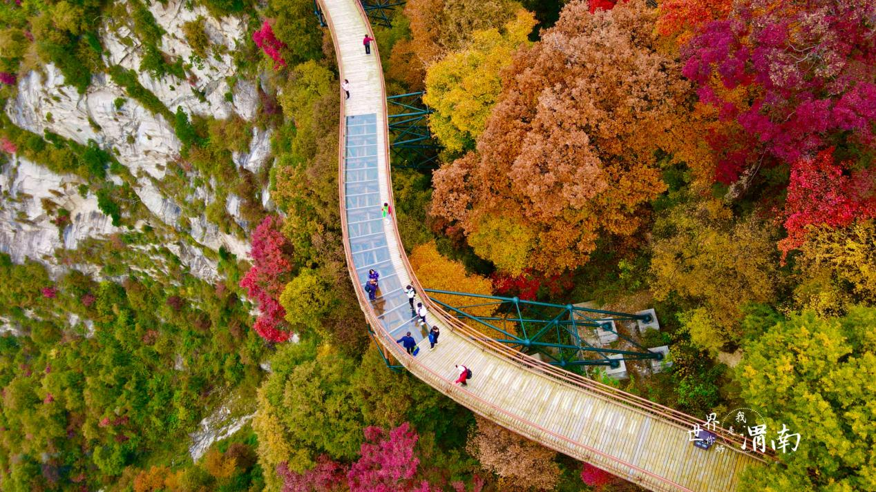 陝西省渭南市：秋色に濃く染まる山林_fororder_图片4