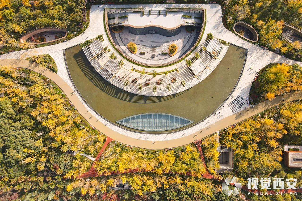 五彩斑斓 幸福林带