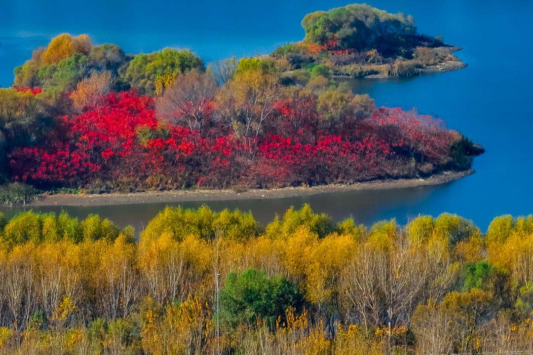 瀋陽這個小島“紅”了