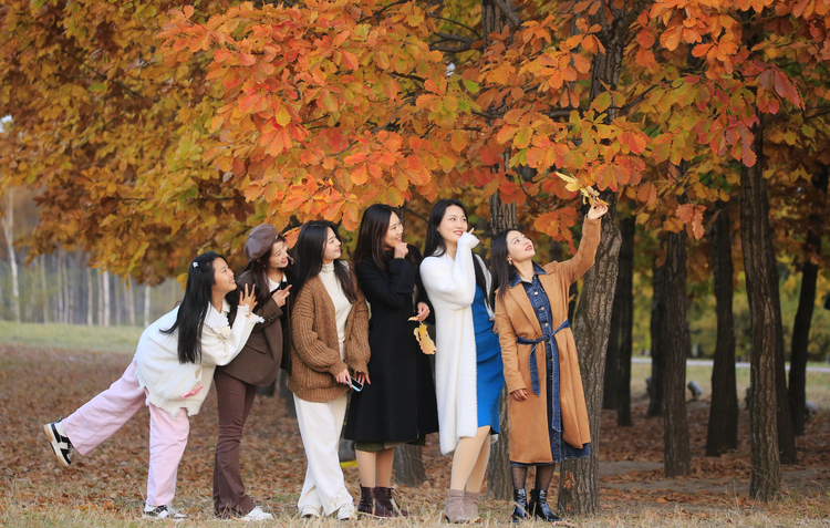 龍江秋韻丨萬頃松江濕地美成生態畫廊