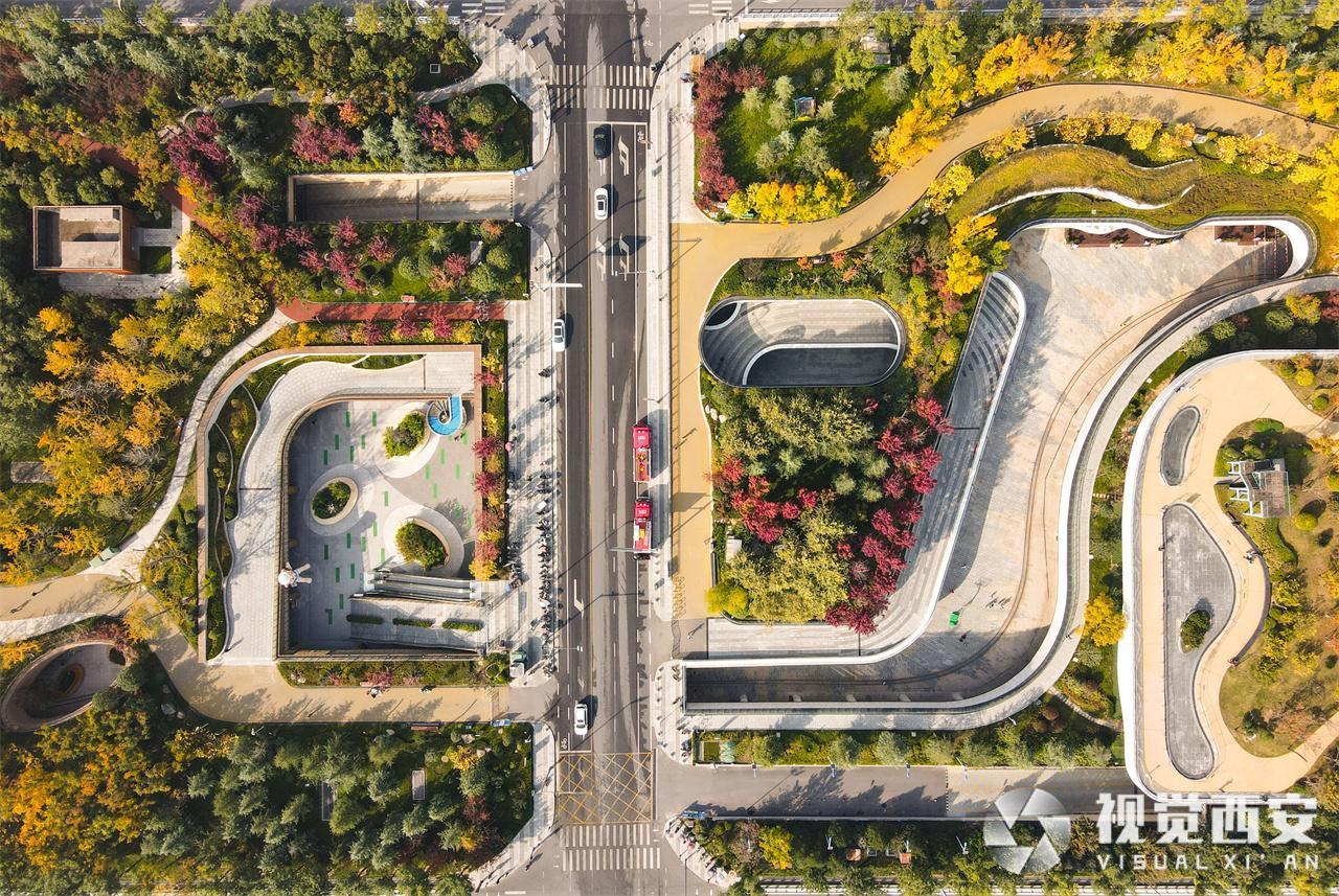 五彩斑斓 幸福林带