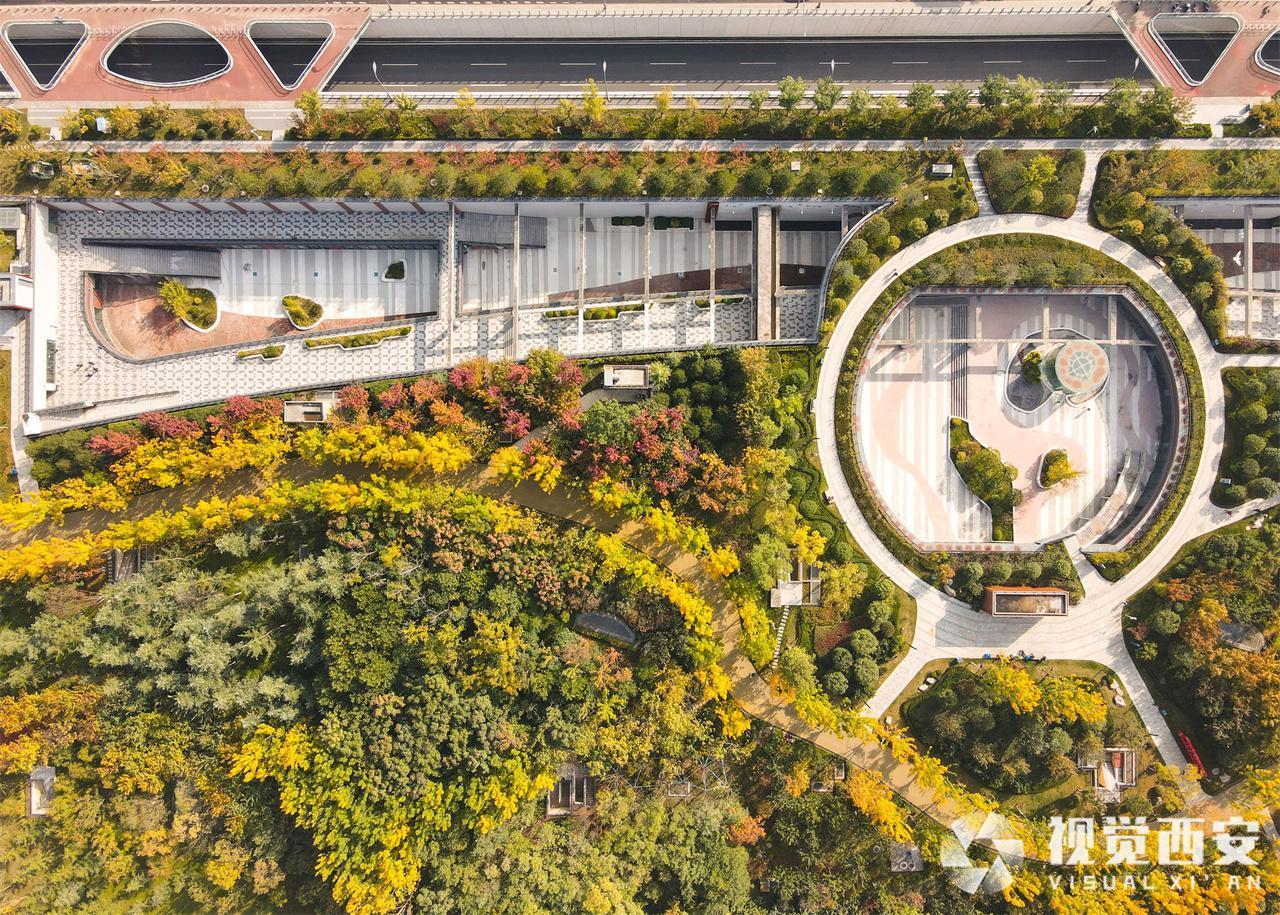 五彩斑斓 幸福林带