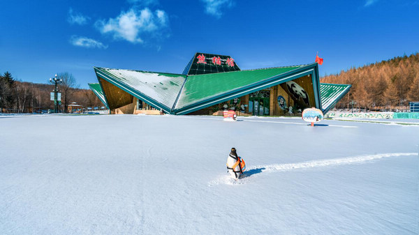 黑龍江各大滑雪場“開板”迎客 亞布力滑雪場已接待遊客6.3萬人次