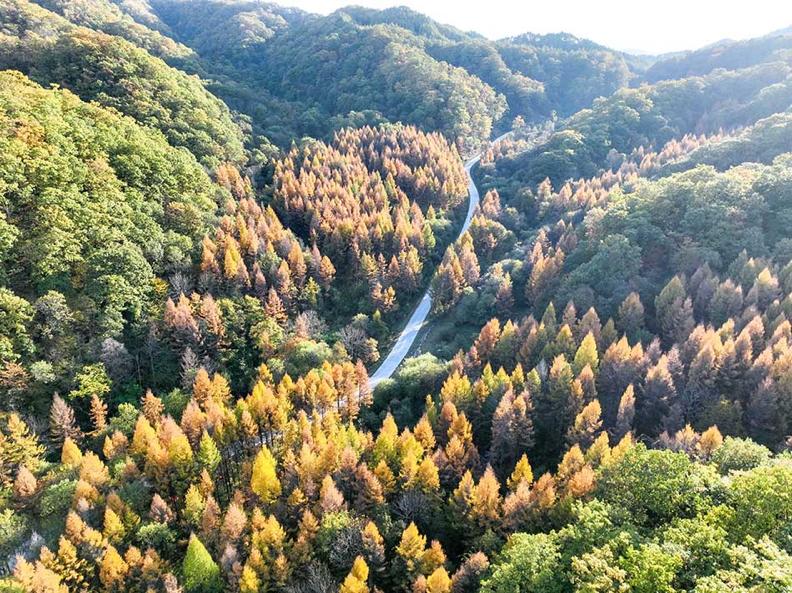 【原创】天水秦州：秋意正浓时 诗画入秦_fororder_图片8