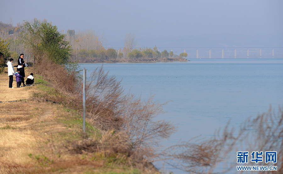 河南洛阳：黄河廊道“串起”生态美景