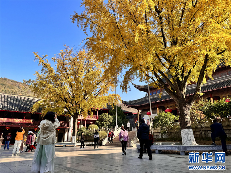 灿若云霞 南京栖霞山迎来枫叶最佳观赏期