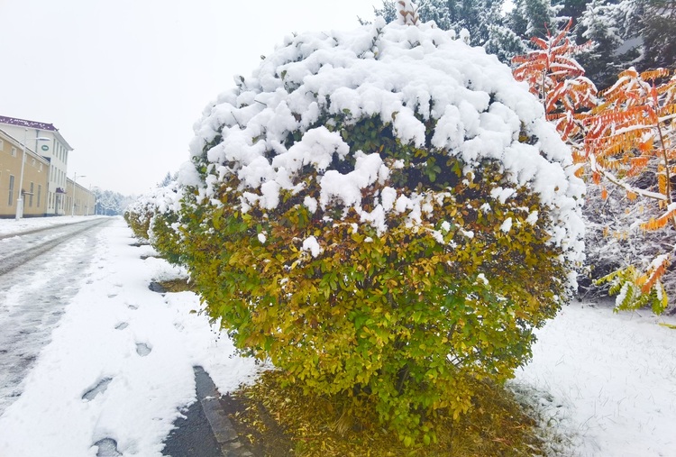 喜迎入冬第一場大雪 長春變成“白富美”！