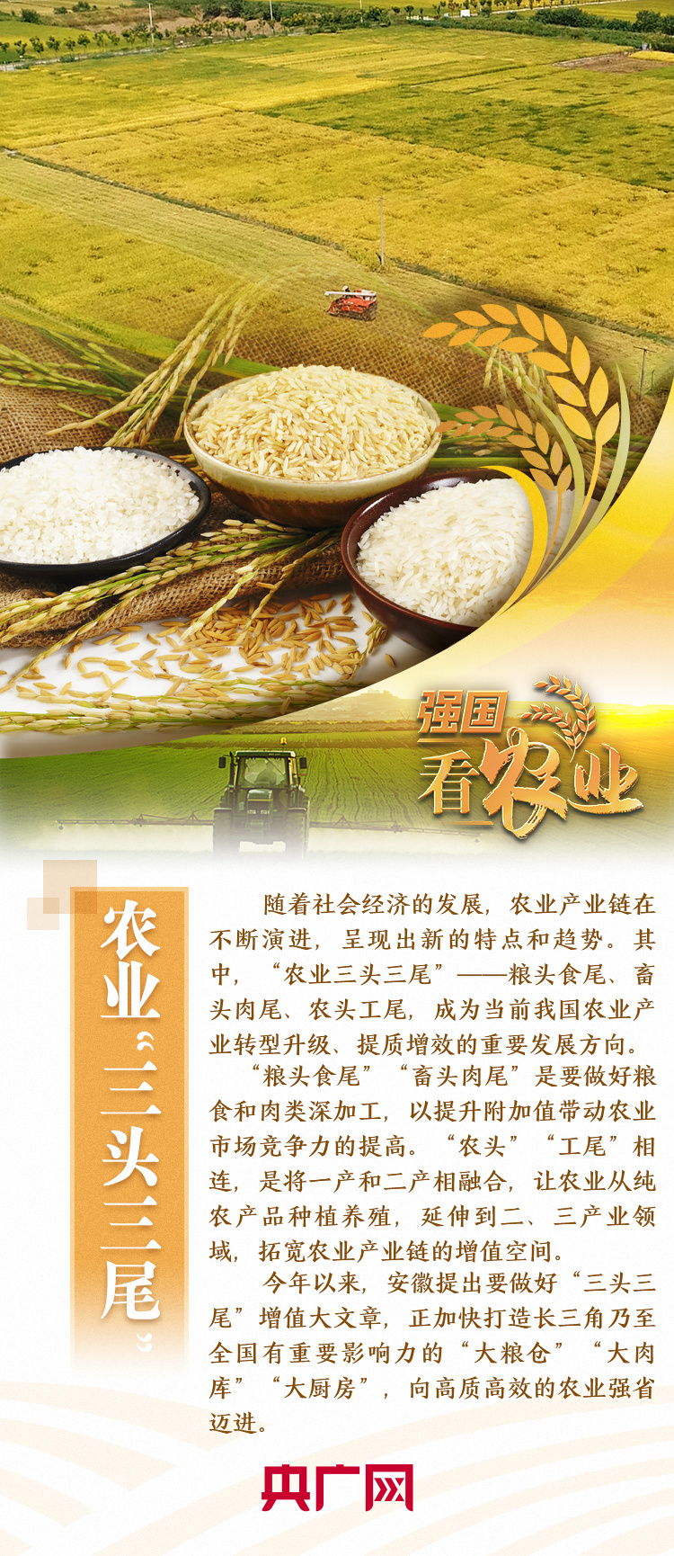 【强国看农业】皖粮引“新食尚” 徽食链“大厨房”