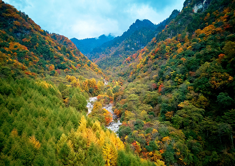 绵阳平武老河沟：彩林红叶正当时_fororder_层林尽染，秋色斑斓