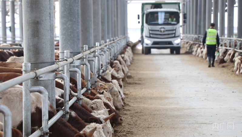 【强国看农业】皖粮引“新食尚” 徽食链“大厨房”