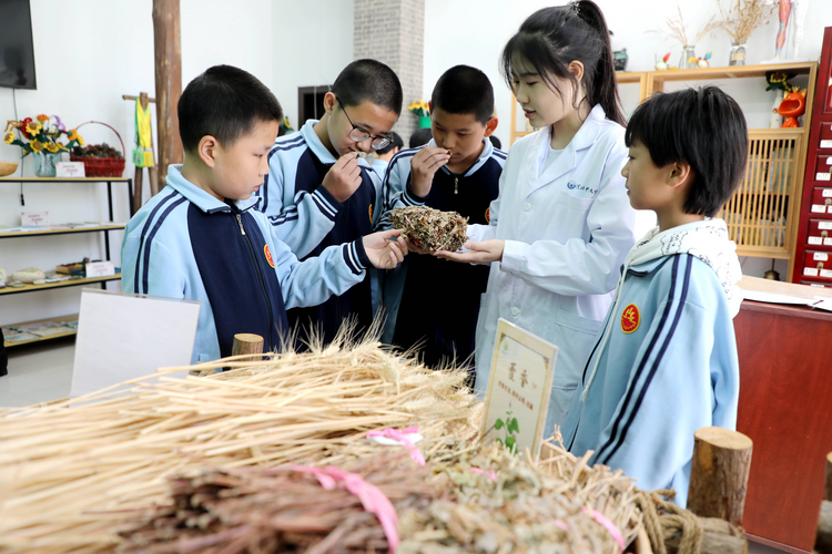 石家庄市桥西区：中医药文化进校园_fororder_图片4