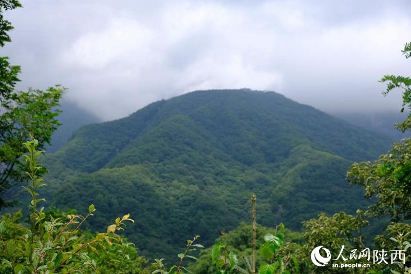 陕西朱家湾：做好“山水文章” 打造康养胜地