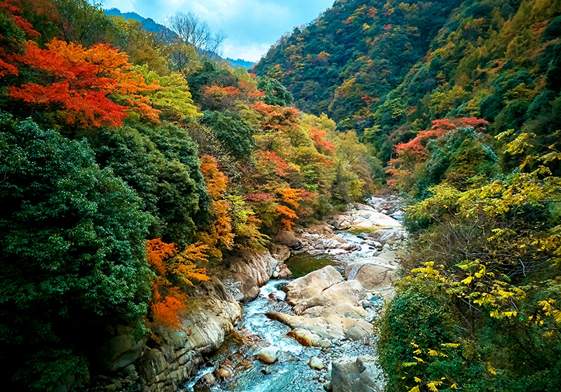 绵阳平武老河沟：彩林红叶正当时_fororder_彩林溪流相映生辉
