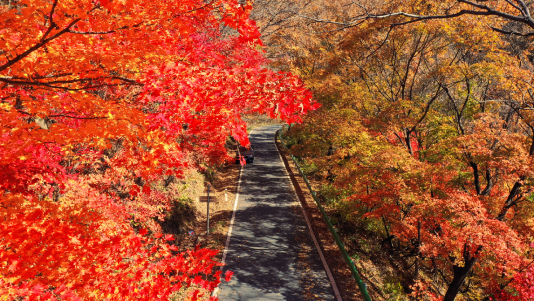 吉林这条最美乡村公路，山水人文画中行