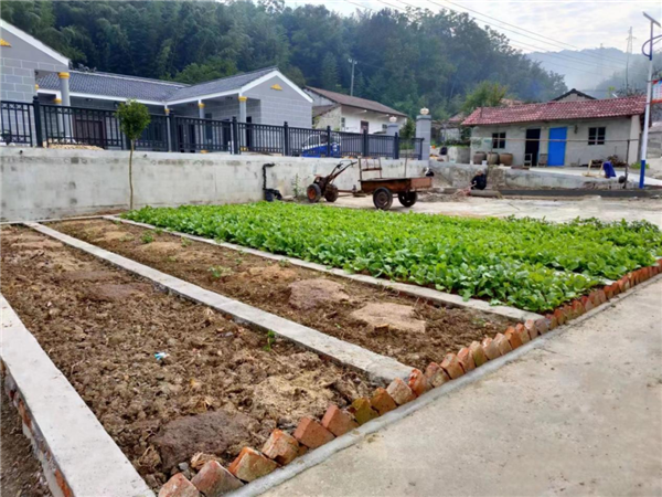 荊門市東寶區仙居鄉：共同締造“小三園” 提升鄉村“大環境”_fororder_圖片2