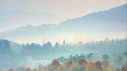 信阳新县：橙黄橘绿时 人间秋色深