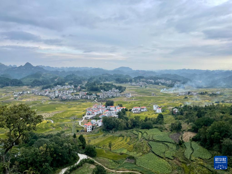 广西河池：生态产业推动绿色崛起