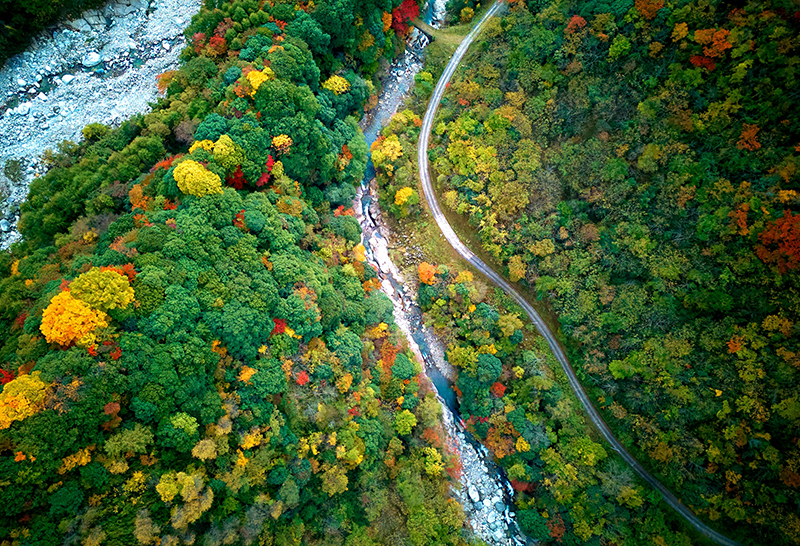 绵阳平武老河沟：彩林红叶正当时_fororder_老河沟秋景（胡宇-摄）-(5)
