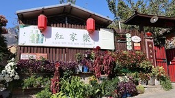 “精神的力量——把青春热血镌刻在历史的丰碑上”采风团走进红旗渠畔庙荒村