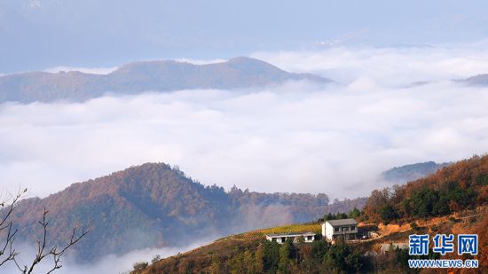 秦岭山城石泉冬日云海现奇观 邀您赴人间惊鸿宴