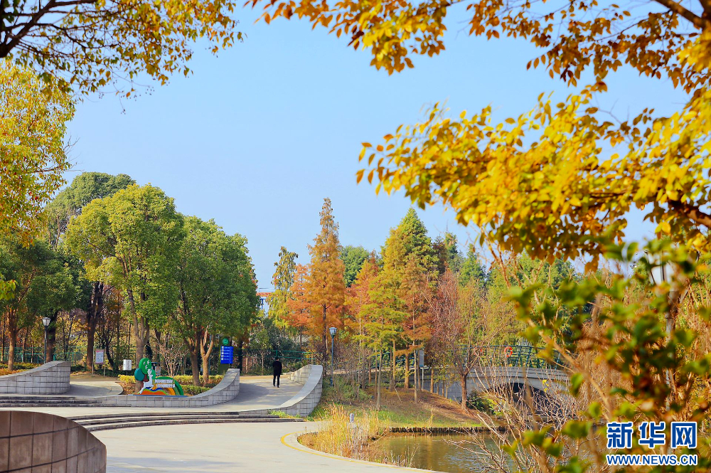 江蘇姜堰：城市公園 冬景如畫