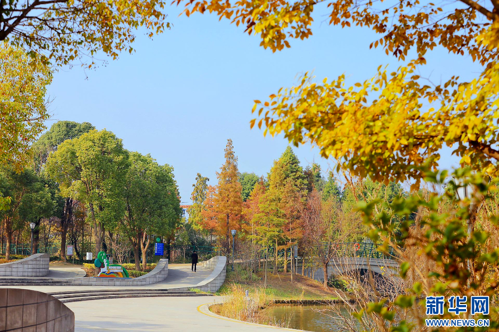 江苏姜堰：城市公园 冬景如画