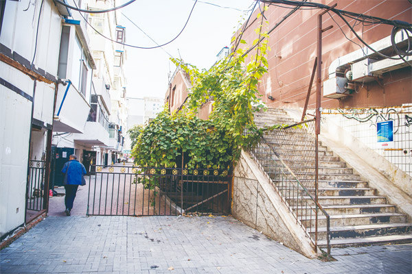 圖片默認標題_fororder_jldw1910170201