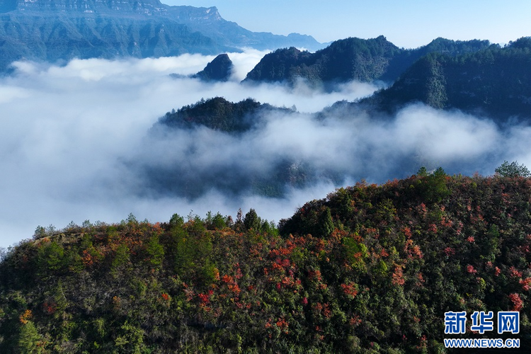 重庆黔江：地质公园冬景如画