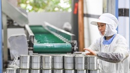 綜述：重慶企業組團出海加強與墨西哥經貿往來