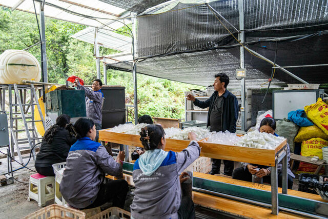 那山·那路·那城——再访“全国最后通公路的县”墨脱