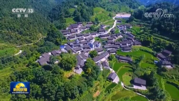 “精准扶贫”理念提出十周年 在世界多国落地生根 开花结果