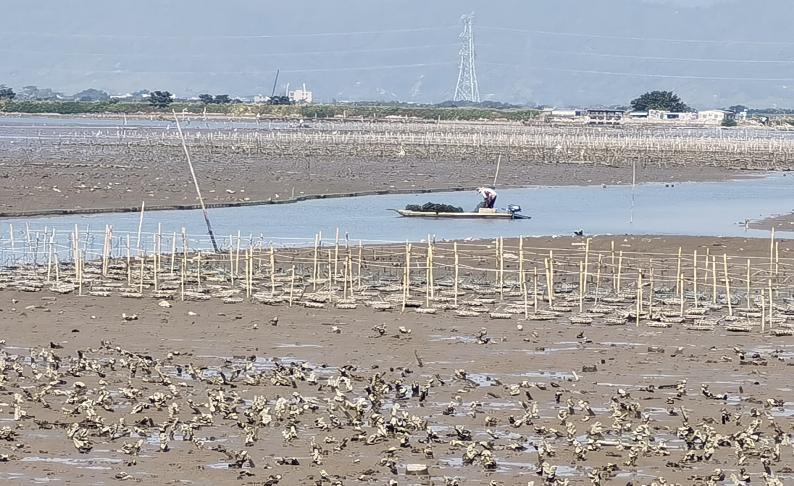 强信心 稳预期 促发展 | “向海图强看广东”采访团聚焦汕尾激活“蓝色动能”新图景_fororder_图片1