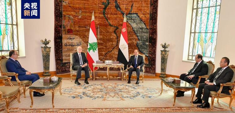 埃及总统塞西同黎巴嫩总理米卡提举行会谈