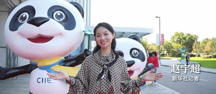 六年进博 相约上海